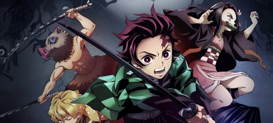 Demon Slayer Kimetsu no Yaiba